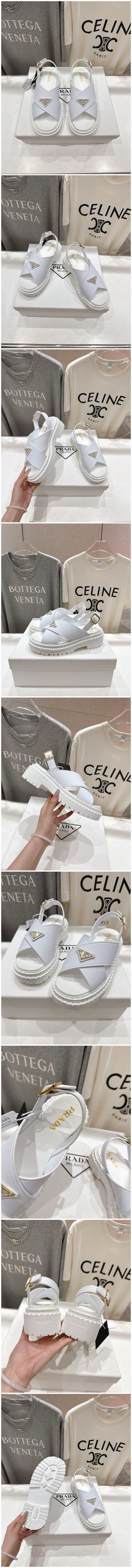 367.jpg