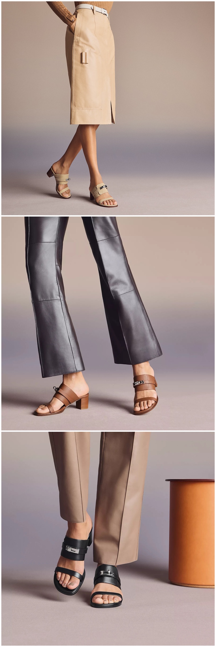 469.jpg