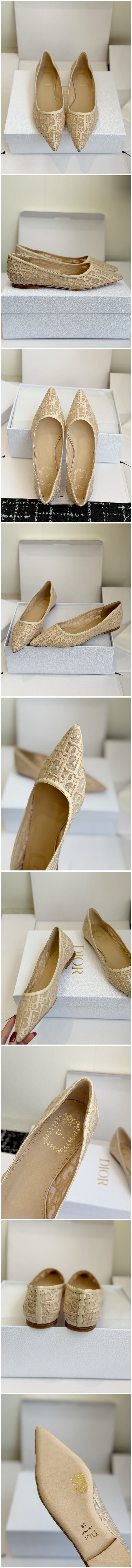 273.jpg